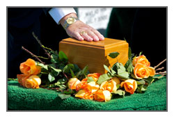 Cremation Services Cremation Services
